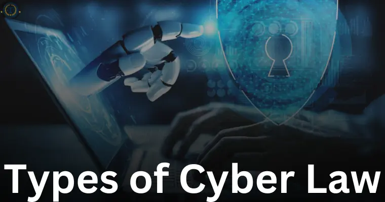 Types of Cyber Law