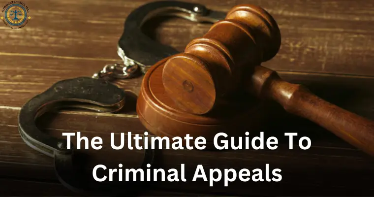 The Ultimate Guide to Criminal Appeals