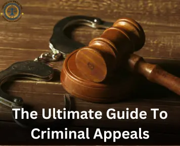 The Ultimate Guide to Criminal Appeals