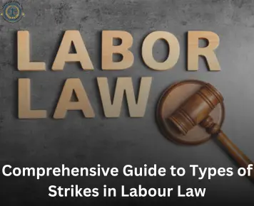 Types of Strikes in Labour Law