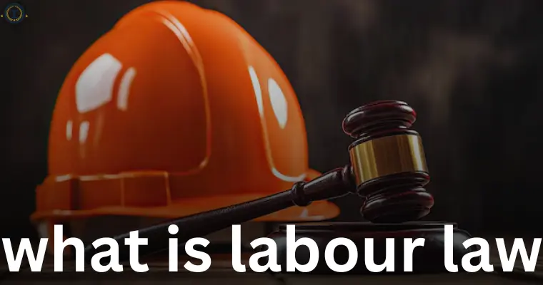 what is labour law