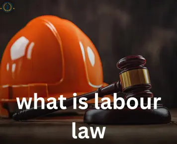 what is labour law